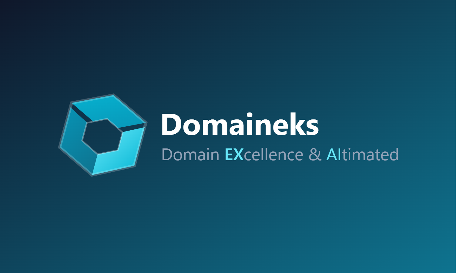 Domaineks Footer Image